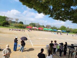 img_20230916-061227.jpg