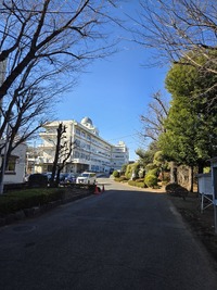 img_20260111-122750.jpg
