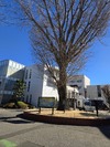 img_20260124-181102.jpg
