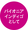 パイオニア インディゴ として