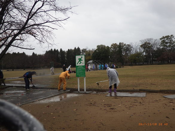 img_20171123-094455.jpg