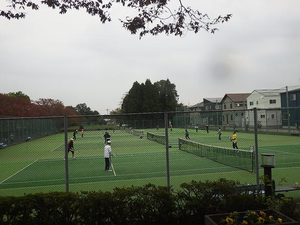 img_20191027-032528.jpg