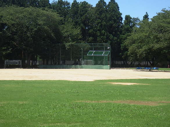 img_20200730-035323.jpg