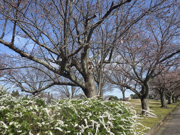 img_20210323-005759.jpg