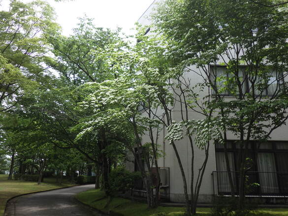 img_20210525-023449.jpg