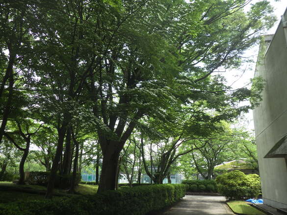 img_20210525-023710.jpg
