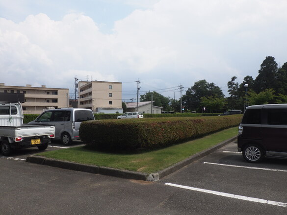 img_20210625-050914.jpg