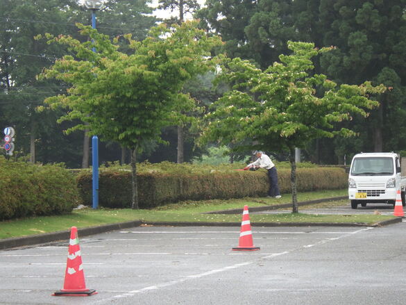 img_20220615-000935.jpg