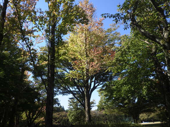 img_20220930-044144.jpg