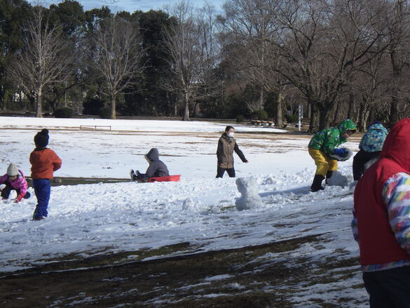 img_20230222-013059.jpg