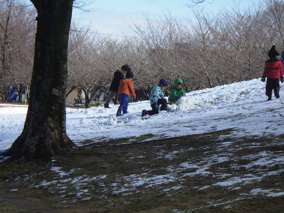 img_20230222-013158.jpg