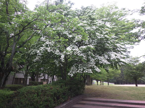 img_20230523-020414.jpg