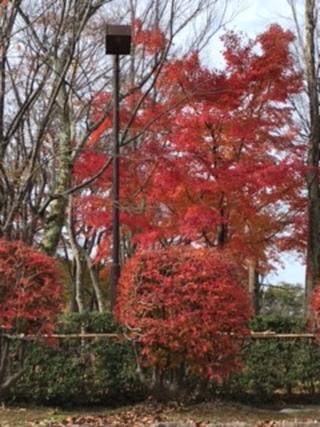 img_20231206-133657.jpg