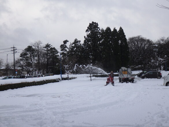 img_20231222-104258.jpg