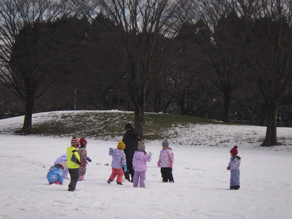 img_20240130-105721.jpg