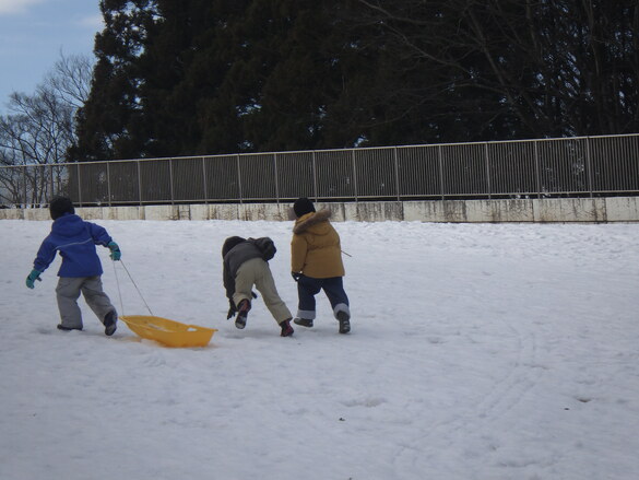 img_20240130-105801.jpg