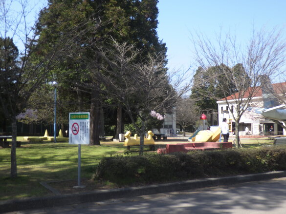 img_20240401-132342.jpg