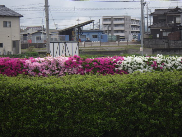 img_20240501-143206.jpg