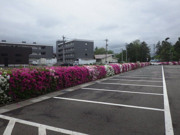 img_20240501-143236.jpg