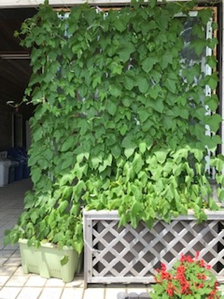 img_20240712-134734.jpg