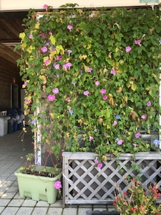 img_20240911-101335.jpg