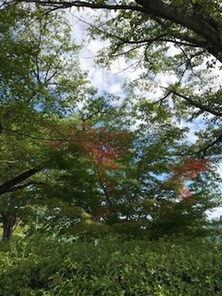 img_20240911-101808.jpg