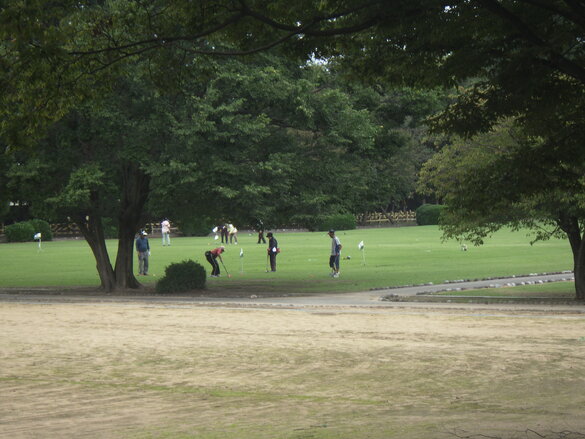 img_20251017-111337.jpg