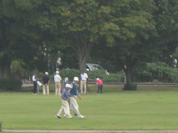 img_20251017-111416.jpg
