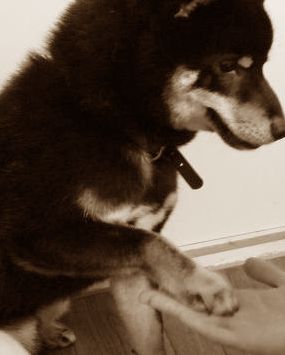 img_20121018-150107.jpg
