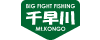 img_20130102-170550.gif