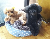 img_20180218-100454.jpg