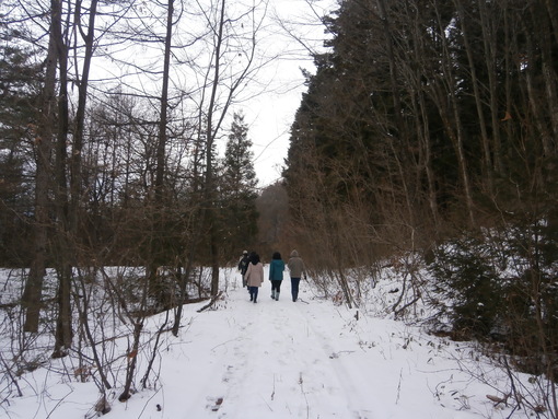 img_20190216-044754.jpg