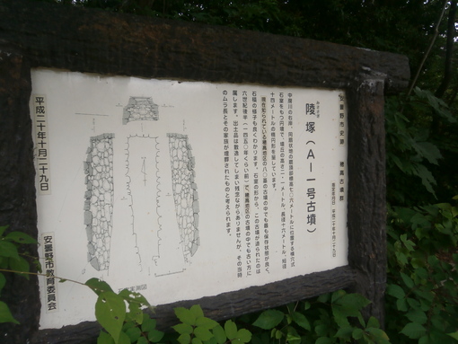 img_20190622-054406.jpg