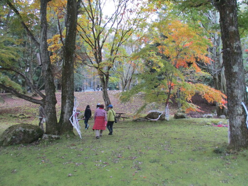 img_20211107-031421.jpg