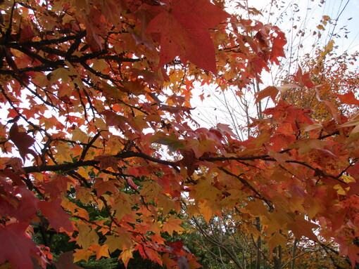 img_20211107-031443.jpg