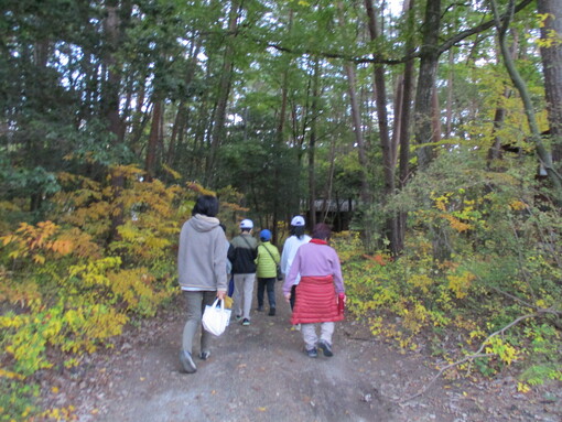 img_20211107-031458.jpg