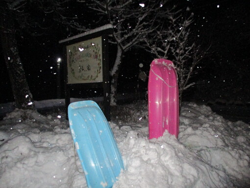 img_20220212-065547.jpg