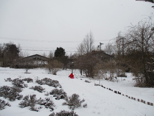 img_20220226-051950.jpg