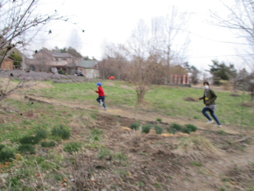 img_20220409-060352.jpg