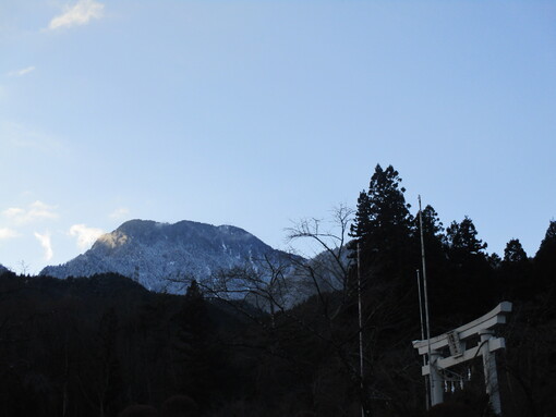 img_20230121-051031.jpg