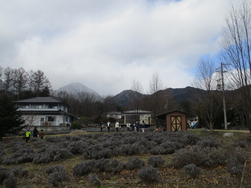 img_20230121-051749.jpg