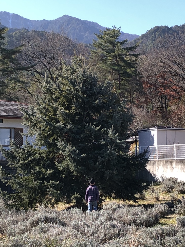 img_20231214-110900.jpg