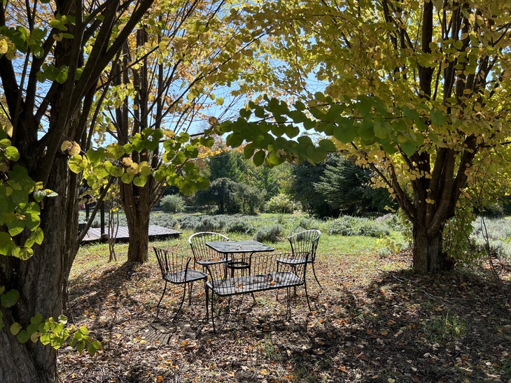 img_20251104-110152.jpg