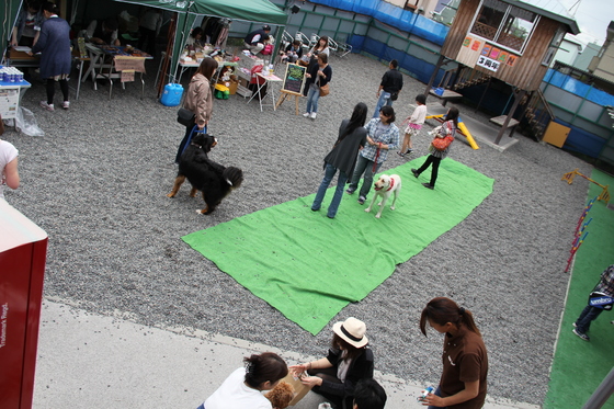 img_20140617-183922.jpg