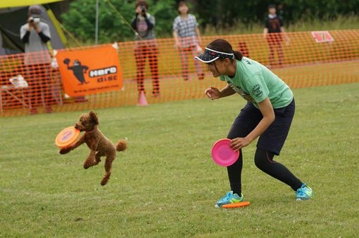 img_20180801-060805.jpg