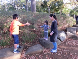 img_20161108-010356.jpg