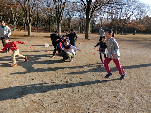 img_20171203-230121.jpg