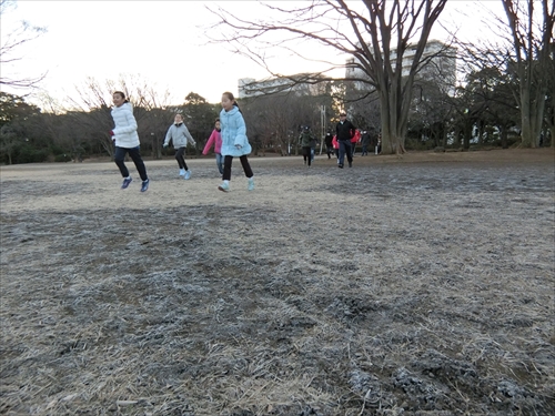 img_20180108-225205.jpg