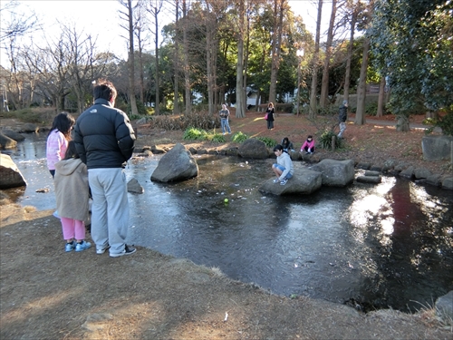 img_20180115-000755.jpg