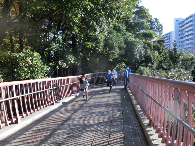 img_20211120-144528.jpg